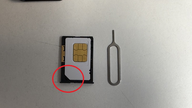 SIM2.jpg